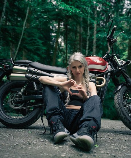 Farbenfuchs free model gallery