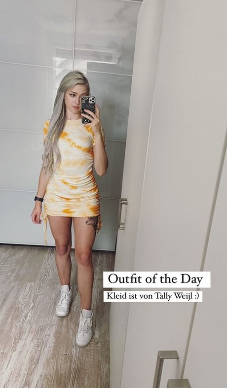 Farbenfuchs free model image