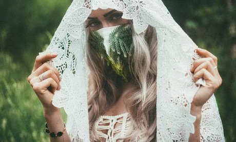 Farbenfuchs star top archive