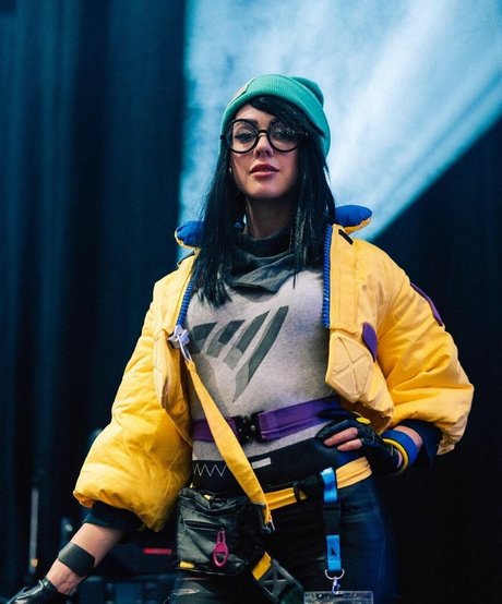 Farbenfuchs free model image