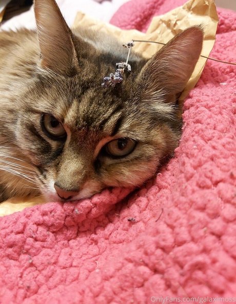 blonde cumshot onlyfans free naked pictures