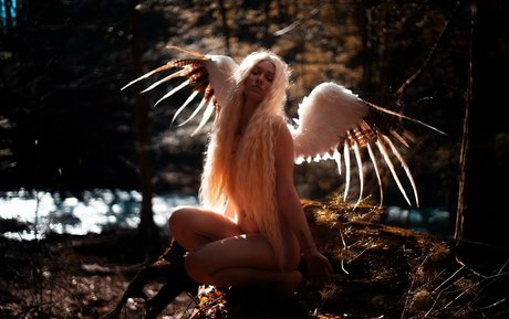 ayeshaxo pornstar nude pictures