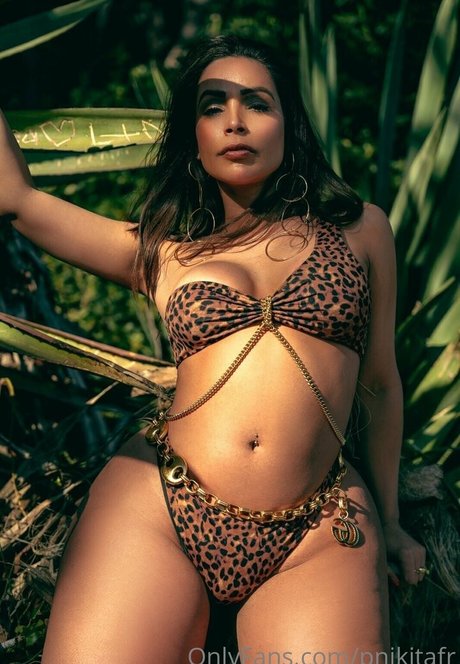 pnikitafr pornstar hd archive