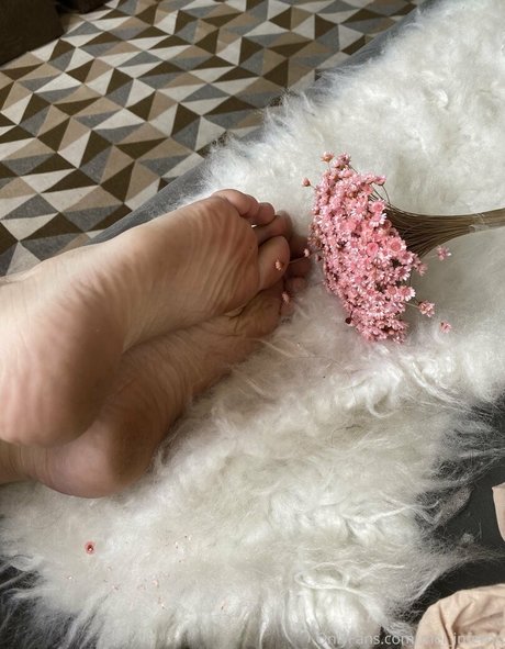 petite trans onlyfans top galleries