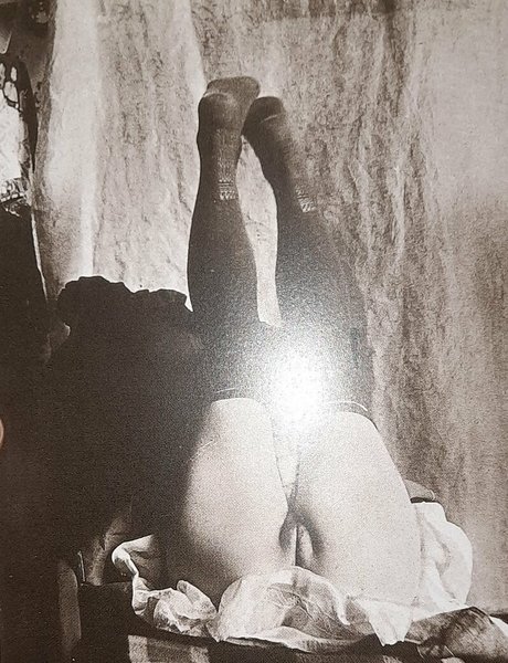 huge shemale onlyfans art naked galleries