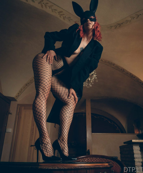 dtp lt model exclusive galleries