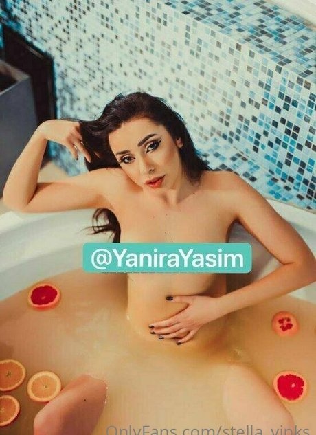 stella vinks pornographic model image