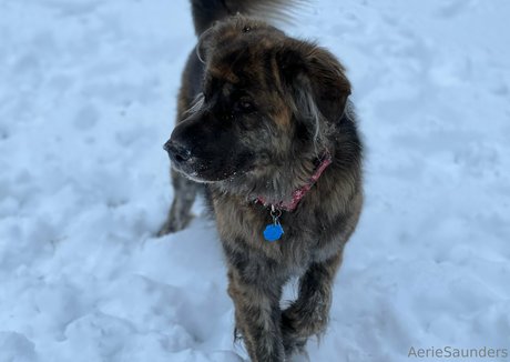 nasty ebony onlyfans sexy nude pic