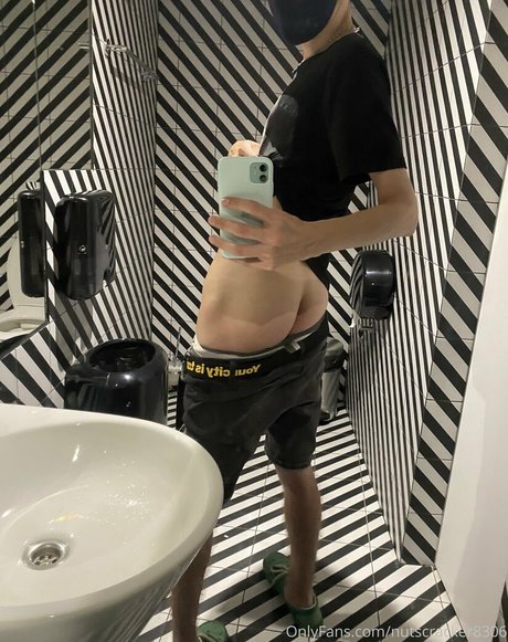 nutscracker8306 free star picture