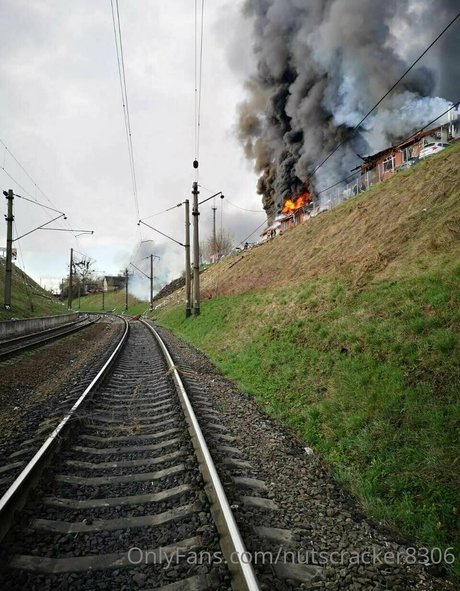 nutscracker8306 model exclusive photo