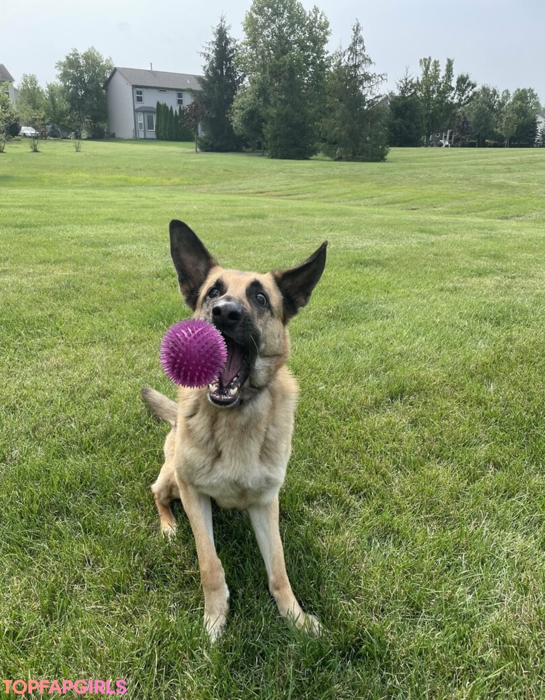 extreme onlyfans sex image