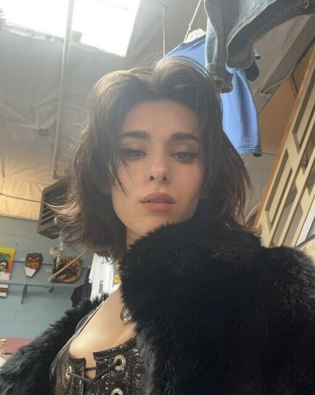 Dyremarxx star best archive