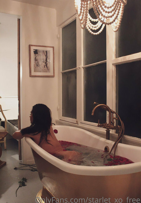 starlet xo free hot pornstar image