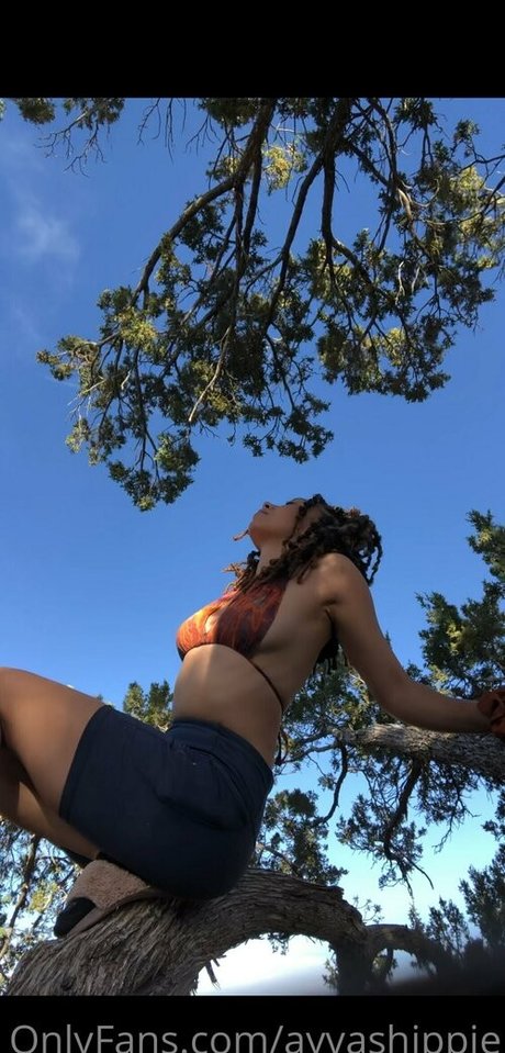 ayvashippie star erotic img