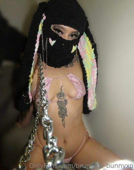 brunette bunnyxo best star pic