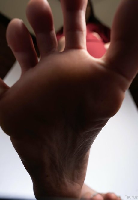 tastytaurustoes star pretty archive