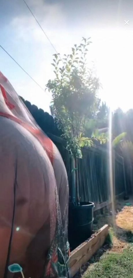 sucking cock onlyfans pornos archive