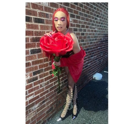 darirose art pornstar galleries
