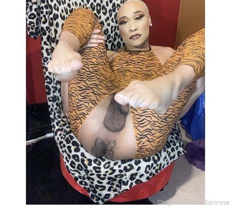 darirose perfect pornstar galleries
