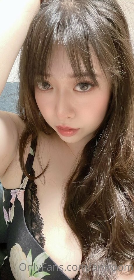 ariiroom model top photo