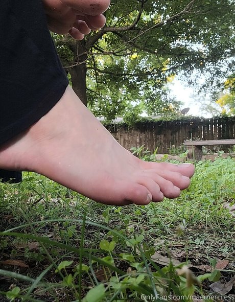 maemerciless high quality pornstar galleries