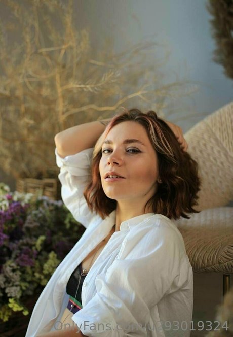 fairy gloria star high quality picture
