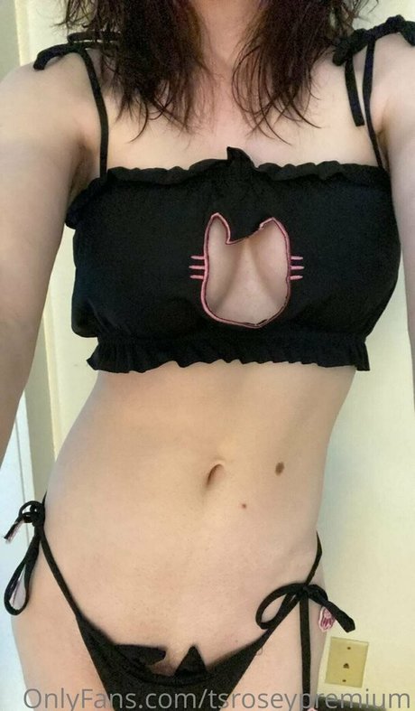 tsroseypremium star nice pictures