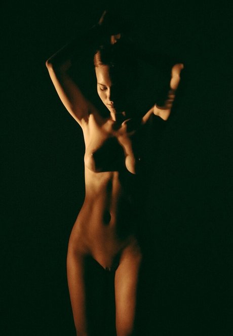 Ssonyashnyk model top image