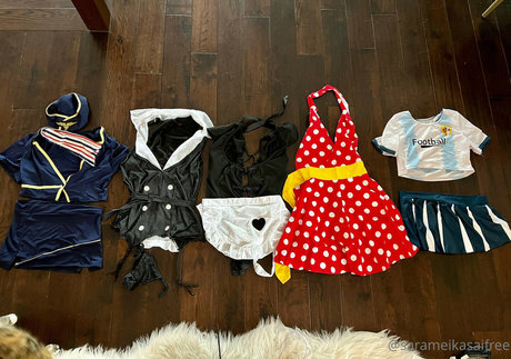 BBWオンリーファン 美しい 写真