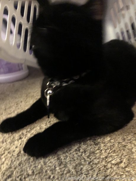 ひげオンリーファンズ 美しい 画像