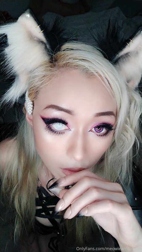 Meowieantoinette top profile image