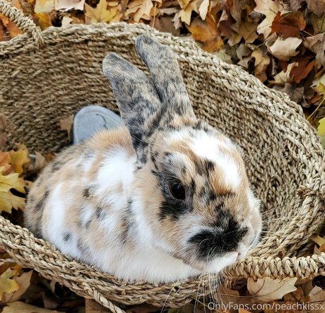 パンツ オンリーファンズ セクシー アーカイブ