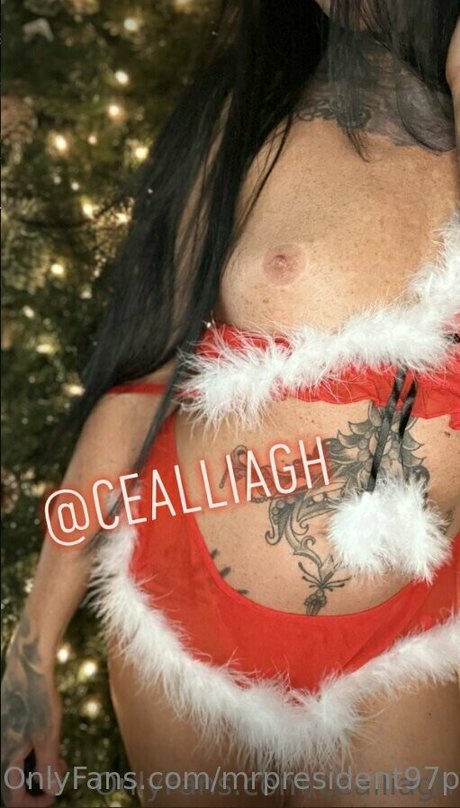 mrpresident97promotion ヌードモデル 写真