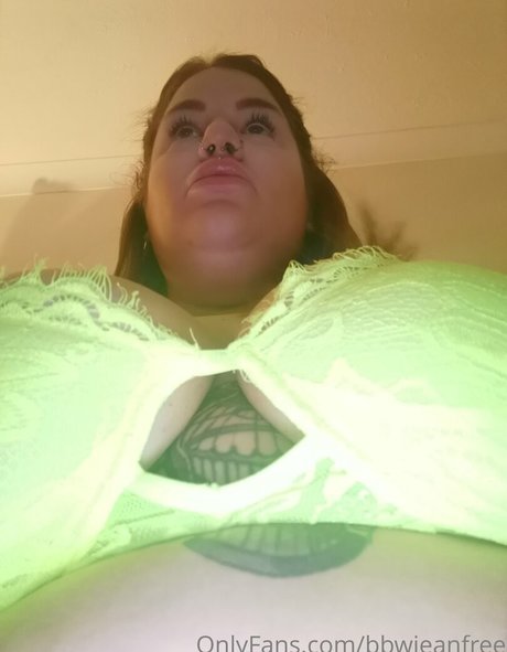 bbwjeanfree 無料モデル アーカイブ