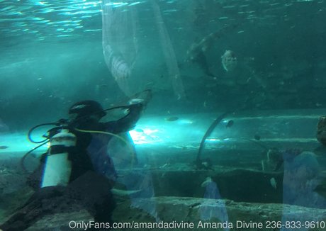 amandadivine ポルノスター パーフェクト 写真