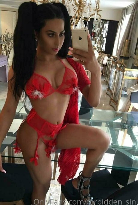 forbidden sin 独占ポルノスター 画像