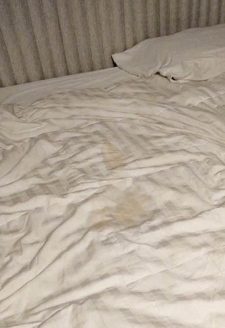 mr nomad かわいいポルノスター 画像