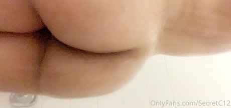secretc12 アート女優 画像