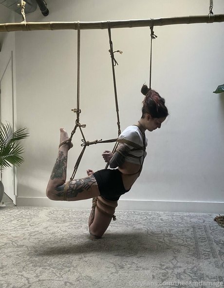 thecamdamage アートモデル 画像