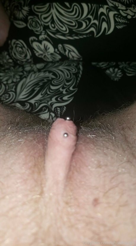 ftmincubus 完璧なポルノスター 写真