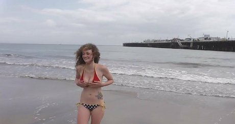 gypsyleia 完璧なスター 画像