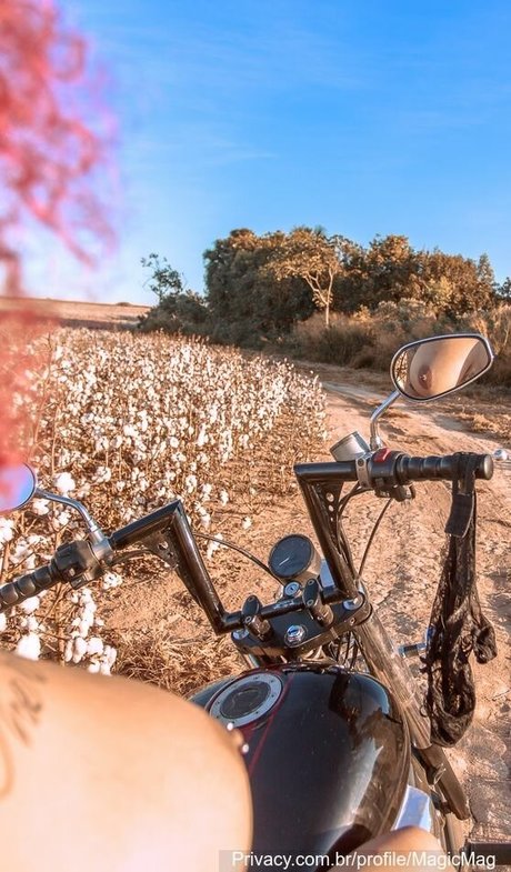 Varias Em Um ヌードスター 画像