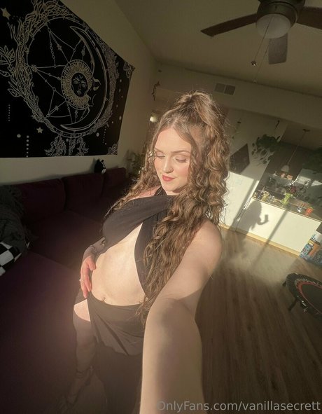 vanillasecrett トップスター 写真