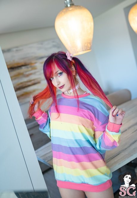 Xhajinx 独占モデル 写真