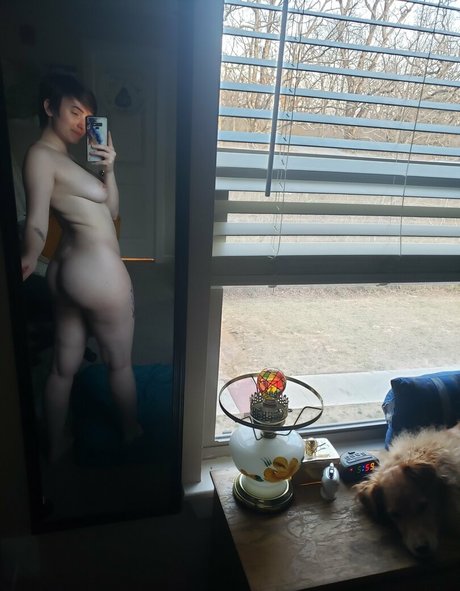 DMオンリーファン 美しいポルノ 画像