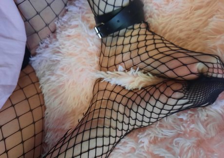 ナチュラルポーグオンリーファン 美しいxxx 画像