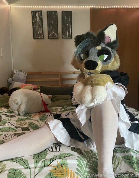 crownmutt top profile image