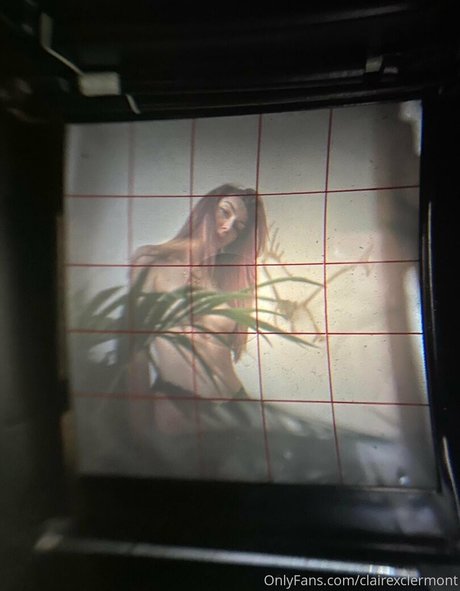 clairexclermont 高品質のスター アーカイブ