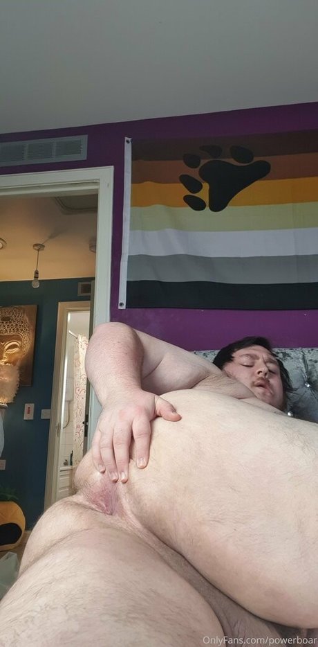 powerboar 高品質モデル 写真