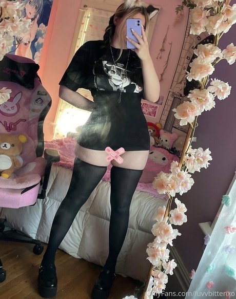 Luvvful かわいいスター 写真